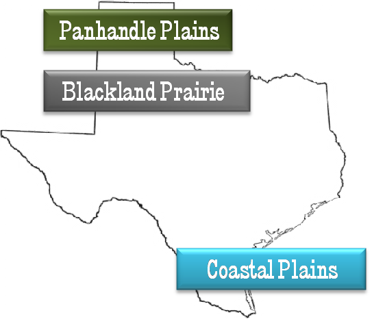 Coastal Plains